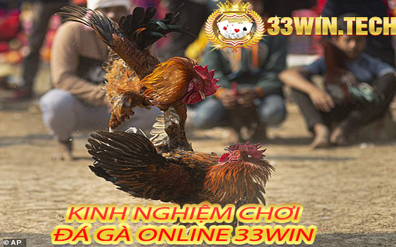 Kinh nghiệm chơi Đá gà online 33win 2023